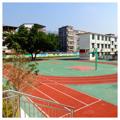 汕尾雷公坑小学复合型塑胶跑道